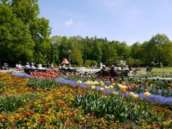 Park voller Blumen