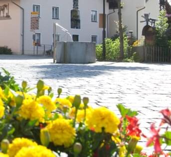 Gelbe Blumen am Kurplatz