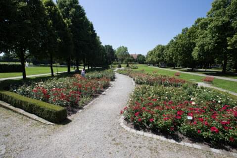 Park mit Blumen