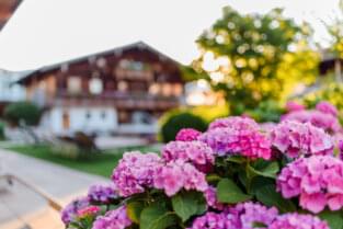 Blumenkübel am Straßenrand