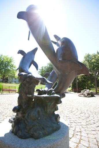 Delfin Statue