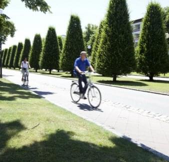 Radfahrer auf Allee