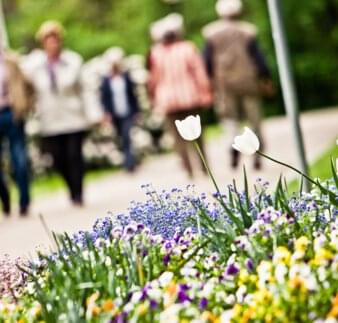 Blumen im Kurpark