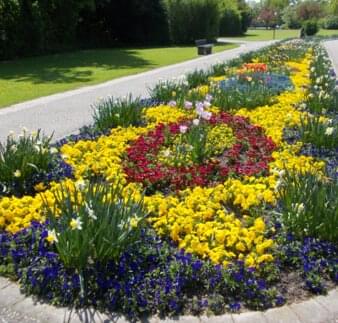 Bunter Blumenteppich im Kurpark