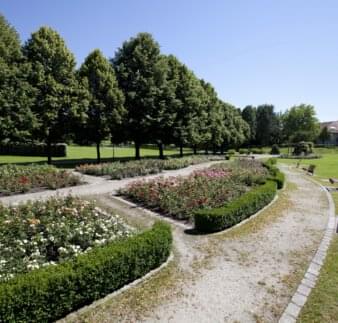 Rosengarten im Freizeitpark