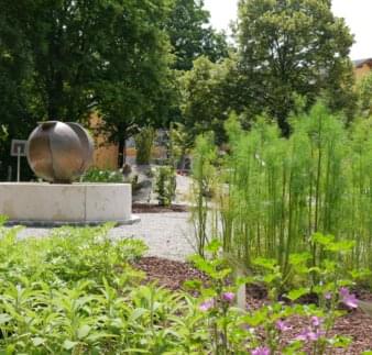 Sträucher im Bibelgarten