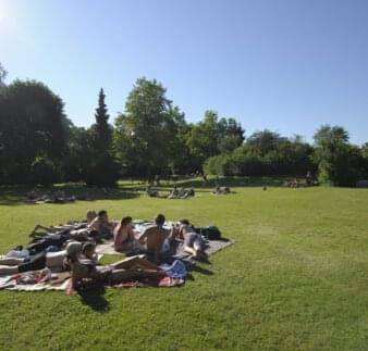 Liegewiese im Freibad