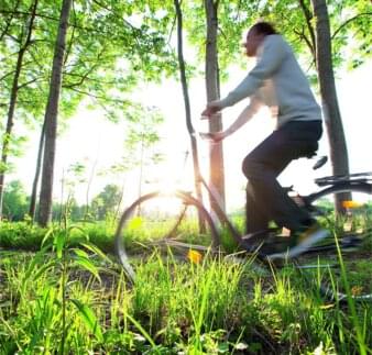 Freizeitaktivitäten - Radfahrer nahe Innauen