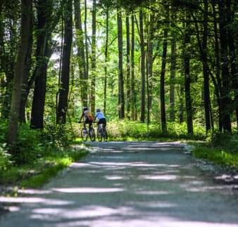 Freizeitaktivitäten - Radtour nahe Innauen