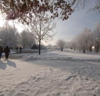 Kurpark Winter - Spaziergang im Schnee