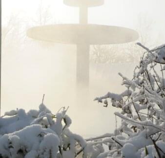 Winter-Impressionen - "Schwammerl" in der Therme Eins