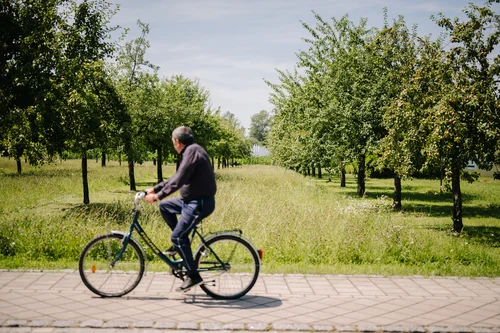 Ein Mann fährt mit einem Fahrrad auf einem Weg, umgeben von Bäumen und grünem Gras.