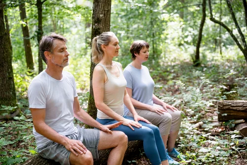 Meditation im Wald Drei Personen meditieren im Wald auf Baumstümpfen, umgeben von grüner Vegetation. Sie haben ihre Augen geschlossen und wirken entspannt. Die Szene vermittelt Ruhe und Achtsamkeit.