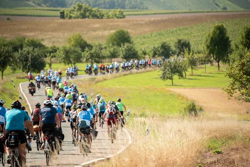 Radfahrveranstaltung in der Natur Eine große Gruppe von Radfahrern fährt auf einer kurvenreichen Straße durch eine grüne Landschaft mit sanften Hügeln und Bäumen.