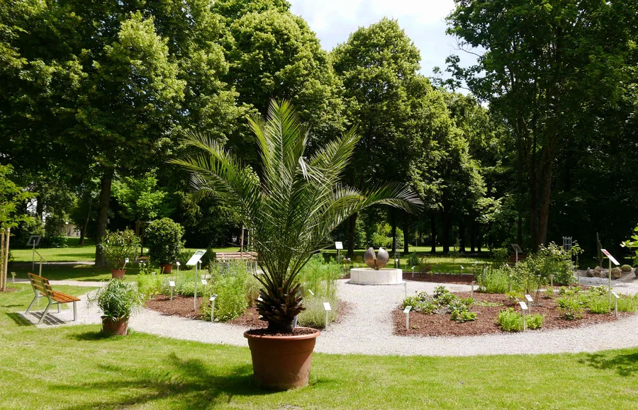 Ein gepflegter Garten mit einem runden Blumenbeet, umgeben von Bäumen und einer Bank. Auf dem Beet befinden sich Pflanzen mit Schildern, und in der Mitte steht eine Skulptur.