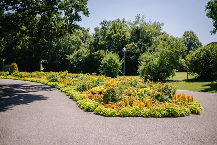 Blumenbeet im Park Ein Garten mit bunten Blumenbeeten, darunter gelbe, orange und grüne Pflanzen, die einen Weg umrahmen. Im Hintergrund sind Bäume und ein Laternenmast zu sehen.