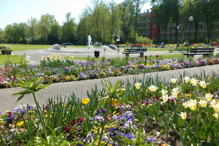 A vibrant flower garden with various colorful flowers in bloom, alongside a pathway. In the background, green trees and a fountain can be seen. Benches are situated around the area, creating a peaceful atmosphere.