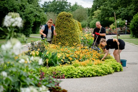 Drei Personen arbeiten in einem Garten. Eine Frau mit Brille pflückt Pflanzen, während zwei andere Personen im Blumenbeet graben. Der Garten enthält eine Vielzahl farbiger Blumen und einen bunten Strauch im Hintergrund.