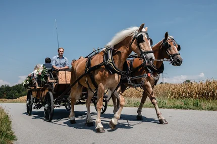 Eine Kutsche wird von zwei Pferden auf einer Straße gezogen. Im Wagen sitzen mehrere Personen, darunter ein Mann, der die Zügel hält. Im Hintergrund sind Felder zu sehen.