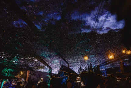Sternenhimmel mit bunter Beleuchtung Eine nächtliche Szene mit funkelnden Sternen und leuchtenden Lichtern, die über Bäume und eine befestigte Fläche projiziert sind. Die Atmosphäre ist magisch und einladend.
