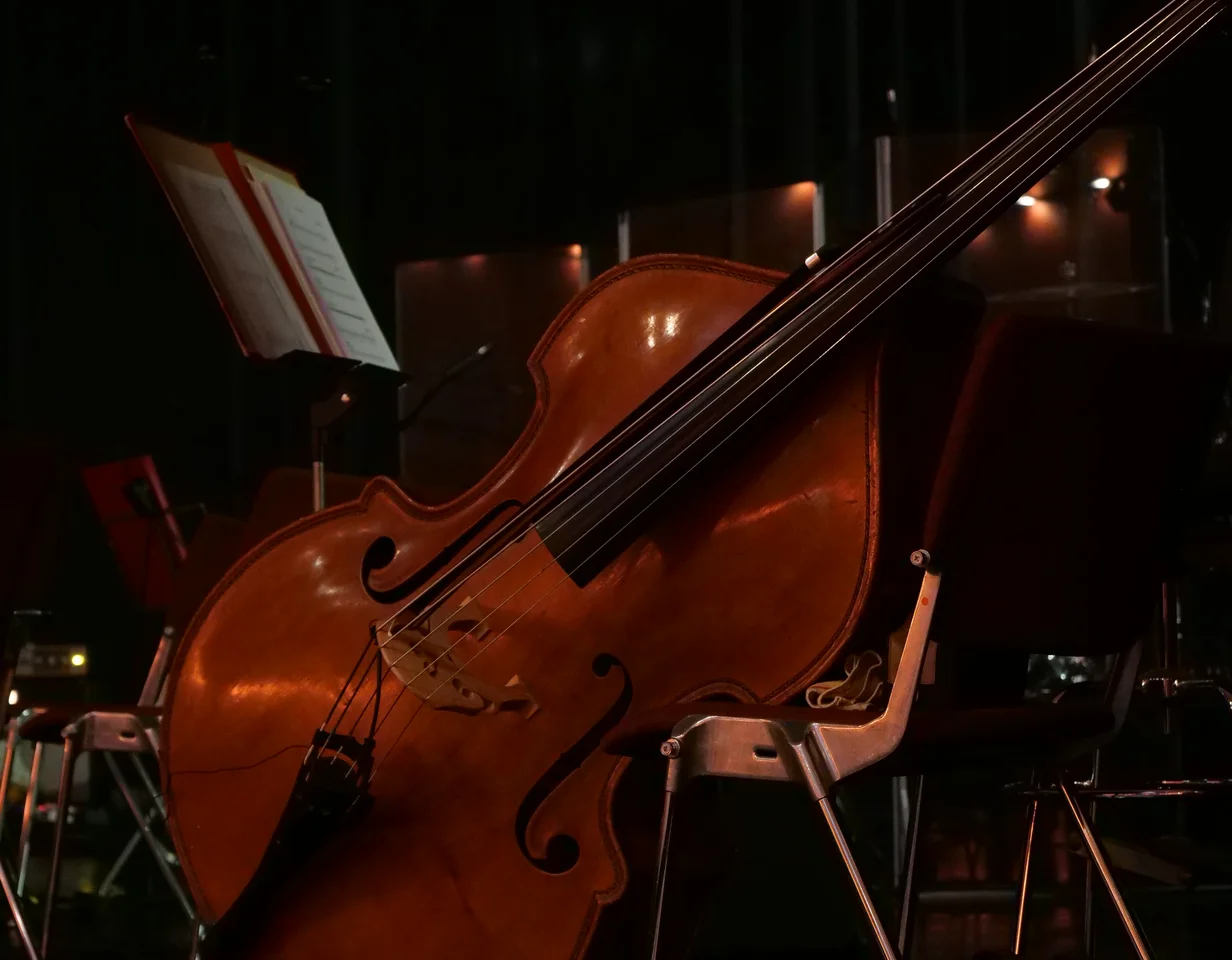 A double bass rests on the stage, partially obscured by a flower arrangement in the foreground. Music stands with sheet music are visible in the background, indicating a concert setting.