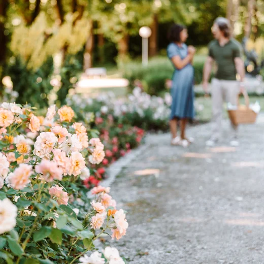 Personen im blühenden Garten Zwei Personen stehen in einem Garten voller blühender Rosen. Die Blumen sind in Pastellfarben gehalten und säumen einen Kiesweg.