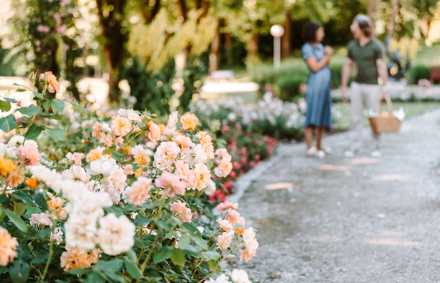 Zwei Personen stehen in einem Garten voller blühender Rosen. Die Blumen sind in Pastellfarben gehalten und säumen einen Kiesweg.