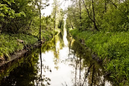 Ein schmaler Gewässerlauf umgeben von üppigem Grün und Bäumen. Die Oberfläche des Wassers spiegelt die umgebenden Pflanzen und Bäume wider. Der Weg entlang des Gewässers wird von dichten Sträuchern und Gras flankiert.