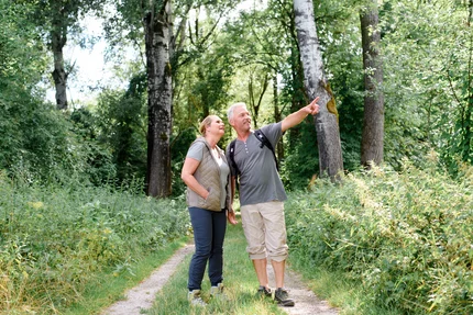 Ein Paar steht in einem Wald und schaut nach oben, während der Mann mit dem Finger in eine Richtung zeigt. Die Umgebung ist üppig bewachsen mit Pflanzen und Bäumen.