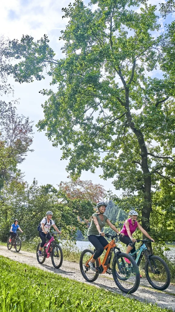 Radfahren am Teich Vier Radfahrerinnen fahren auf einem Schotterweg neben einem Teich, umgeben von Bäumen.