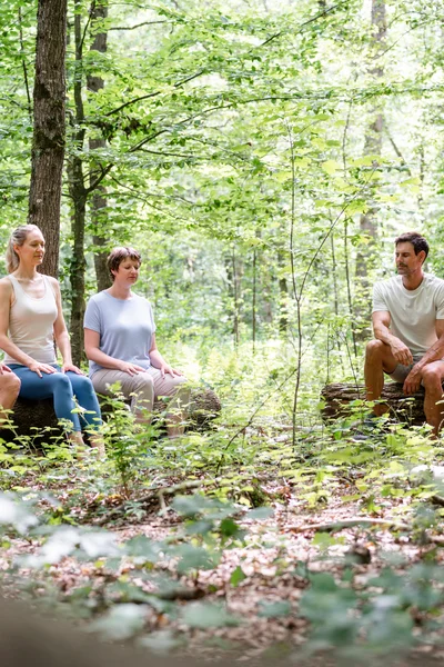 Fünf Erwachsene sitzen in einem Wald auf umgestürzten Baumstämmen und meditieren mit geschlossenen Augen.