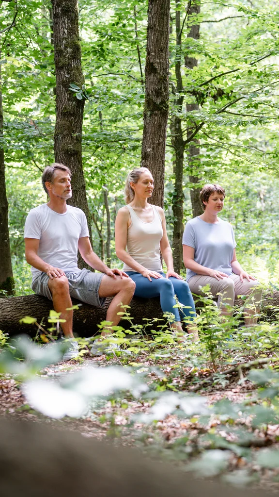 Fünf Erwachsene sitzen in einem Wald auf umgestürzten Baumstämmen und meditieren mit geschlossenen Augen.