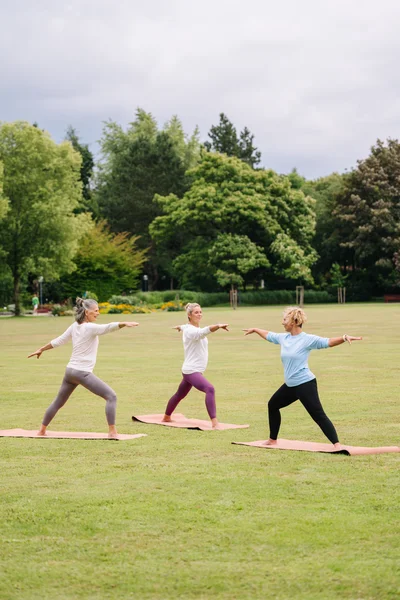 Drei Frauen führen Yoga-Übungen im Freien auf Matten aus. Sie stehen in verschiedenen Positionen mit ausgestreckten Armen, umgeben von grüner Landschaft und Bäumen.