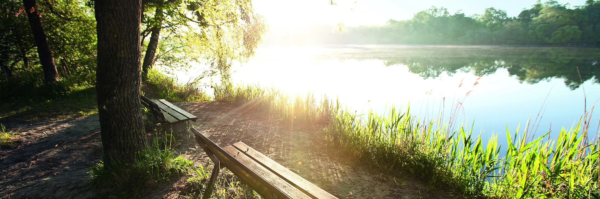 Eine Holzbank steht am Ufer eines ruhigen Sees, umgeben von Bäumen und Gras. Die Sonne scheint durch die Blätter und reflektiert sich im Wasser.