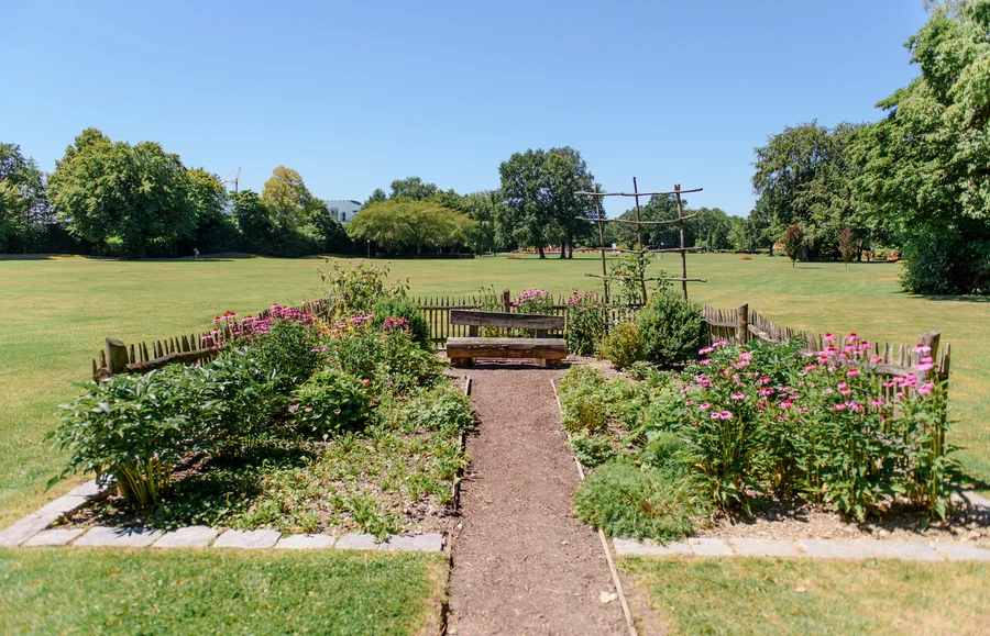 Ein schmaler Gartenweg führt durch Blumen und Pflanzen zu einer Bank. Im Hintergrund sind Bäume und offene Wiesen zu sehen, unter einem klaren blauen Himmel.