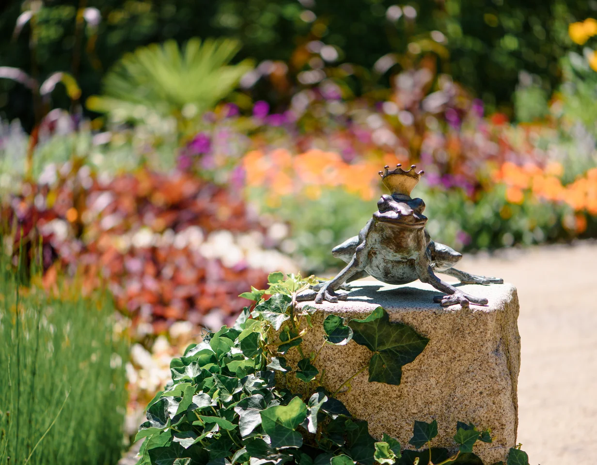 Kronenfrosch Statue im Garten Eine Statue eines Frosches mit einer Krone, die auf einem Stein sitzt, umgeben von bunten Blumen und Pflanzen im Garten.