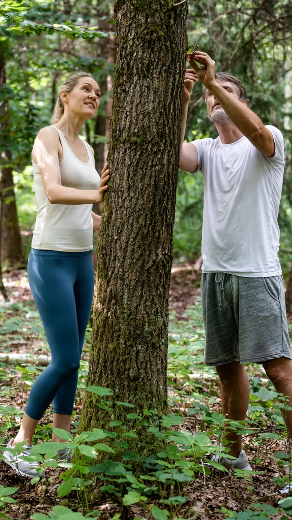 Menschen im Wald aktiv Eine Gruppe von vier Personen arbeitet im Wald, einige untersuchen Bäume, während andere den Wald genießen. Die Umgebung ist grün und natürlich.
