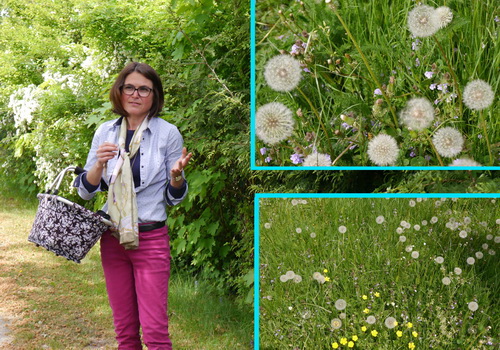 WildkräuterWerkstatt aus Wald und Wiese