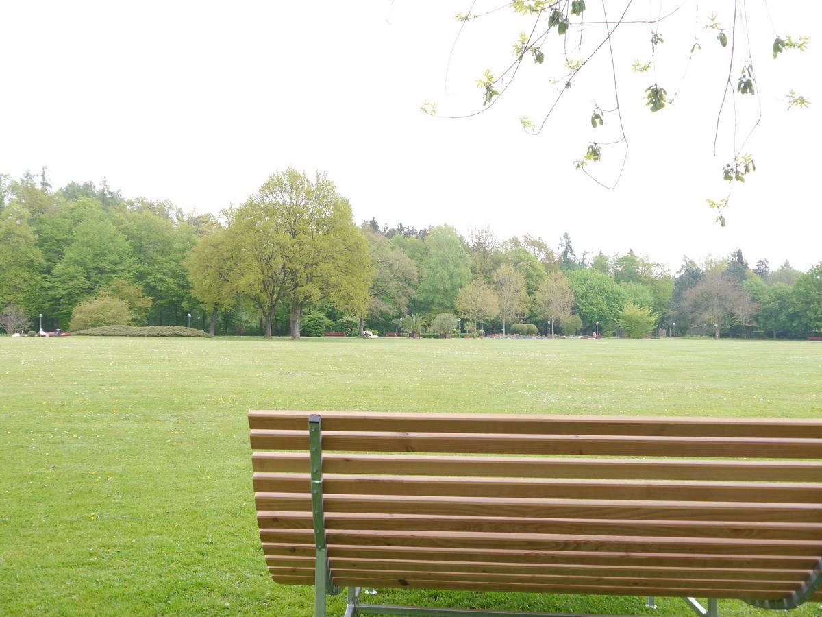 Guten-Morgen-QiGong im Park