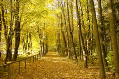 Geführte Wanderung