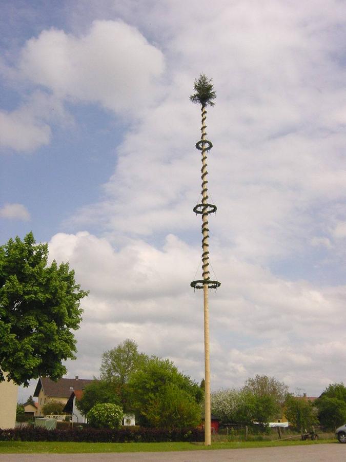 Maibaumaufstellen