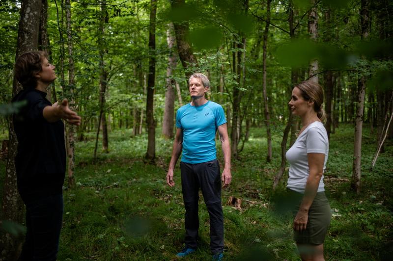 WaldGesundheits- & ErlebnisProgramm