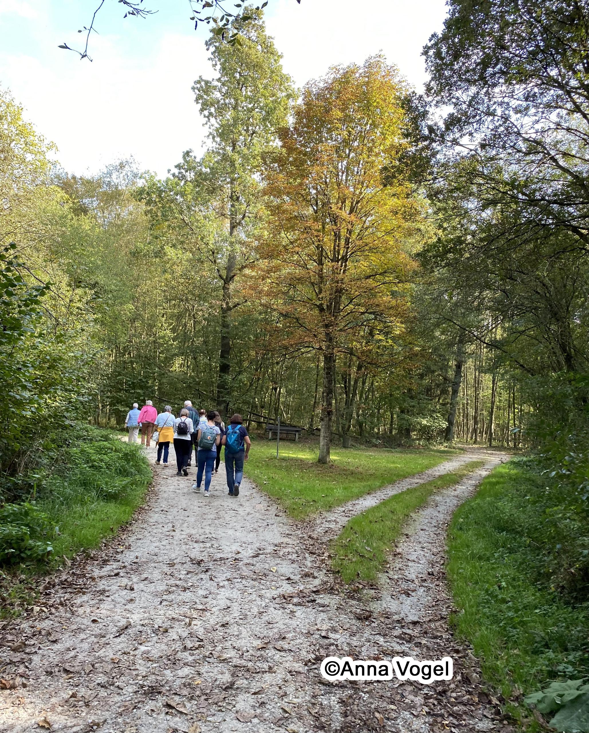 Spaziergang mit spirituellen Impulsen