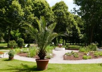 Bibelgarten