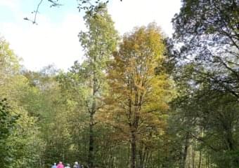 Spaziergang mit spirituellen Impulsen