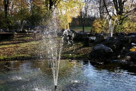 Springbrunnen in der Natur Springbrunnen in der Natur