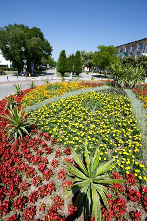 großes buntes Blumenbeet großes buntes Blumenbeet